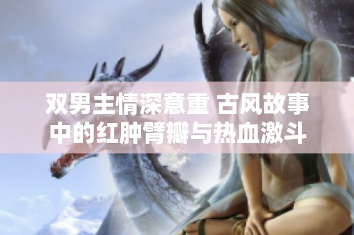 双男主情深意重 古风故事中的红肿臂瓣与热血激斗