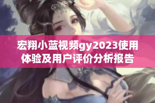 宏翔小蓝视频gy2023使用体验及用户评价分析报告