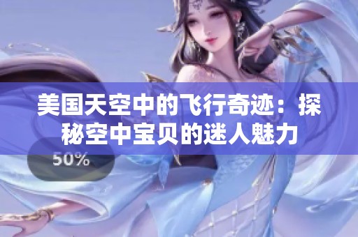 美国天空中的飞行奇迹：探秘空中宝贝的迷人魅力