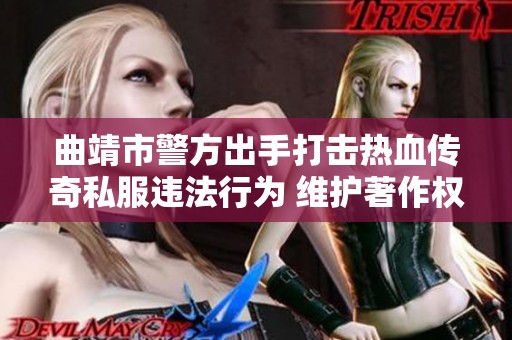 曲靖市警方出手打击热血传奇私服违法行为 维护著作权权益