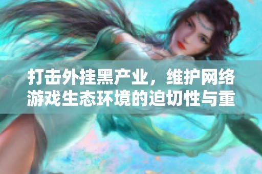 打击外挂黑产业，维护网络游戏生态环境的迫切性与重要性