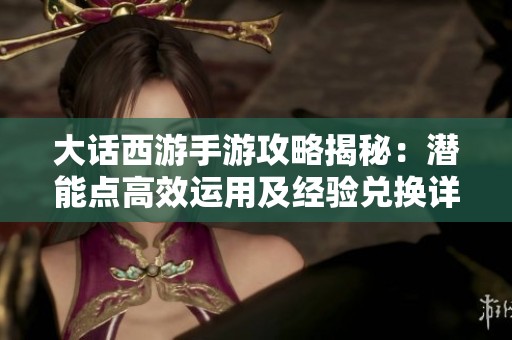大话西游手游攻略揭秘：潜能点高效运用及经验兑换详尽解析