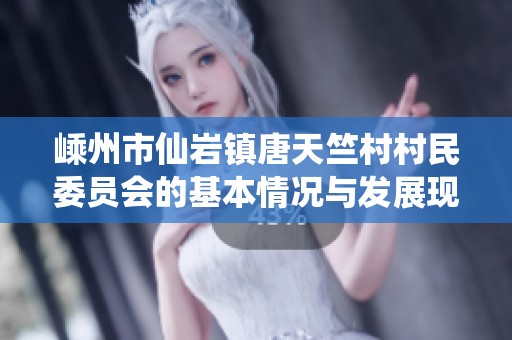 嵊州市仙岩镇唐天竺村村民委员会的基本情况与发展现状探讨