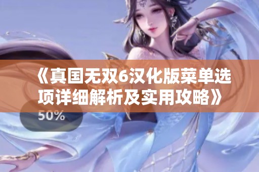 《真国无双6汉化版菜单选项详细解析及实用攻略》