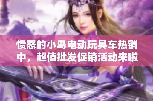 愤怒的小鸟电动玩具车热销中，超值批发促销活动来啦