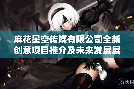 麻花星空传媒有限公司全新创意项目推介及未来发展展望