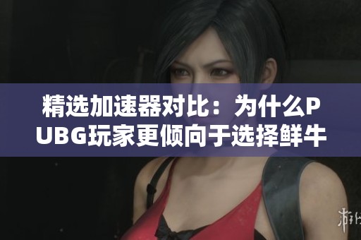 精选加速器对比：为什么PUBG玩家更倾向于选择鲜牛加速器