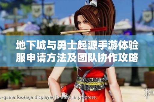 地下城与勇士起源手游体验服申请方法及团队协作攻略