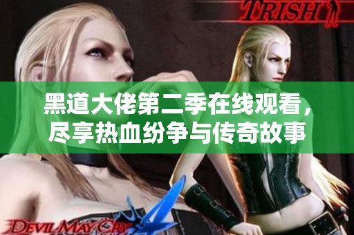黑道大佬第二季在线观看，尽享热血纷争与传奇故事