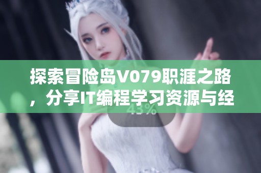 探索冒险岛V079职涯之路，分享IT编程学习资源与经验