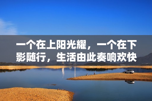 一个在上阳光耀，一个在下影随行，生活由此奏响欢快旋律