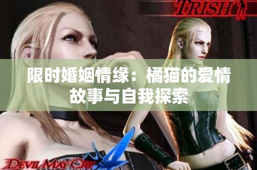 限时婚姻情缘：橘猫的爱情故事与自我探索