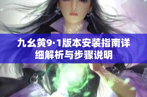 九幺黄9·1版本安装指南详细解析与步骤说明