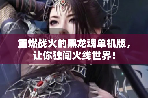重燃战火的黑龙魂单机版，让你独闯火线世界！