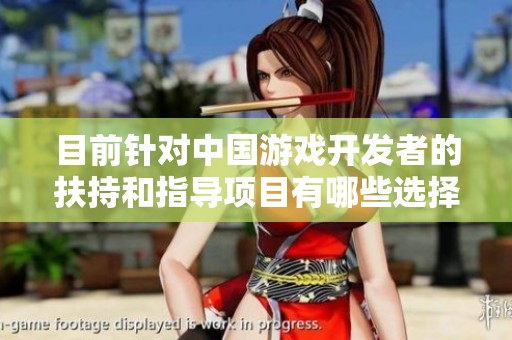 目前针对中国游戏开发者的扶持和指导项目有哪些选择与机会