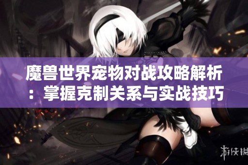 魔兽世界宠物对战攻略解析：掌握克制关系与实战技巧