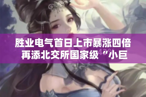 胜业电气首日上市暴涨四倍 再添北交所国家级“小巨人”