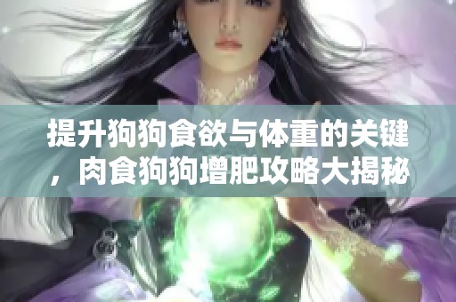 提升狗狗食欲与体重的关键，肉食狗狗增肥攻略大揭秘