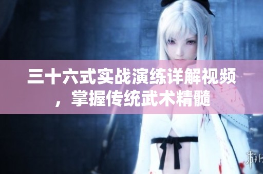 三十六式实战演练详解视频，掌握传统武术精髓