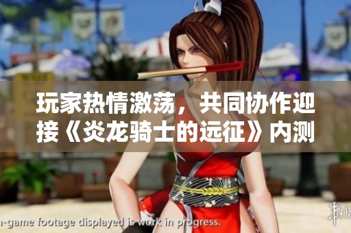 玩家热情激荡，共同协作迎接《炎龙骑士的远征》内测盛典