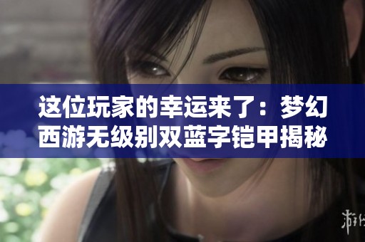 这位玩家的幸运来了：梦幻西游无级别双蓝字铠甲揭秘