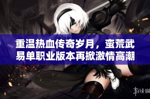 重温热血传奇岁月，蛮荒武易单职业版本再掀激情高潮