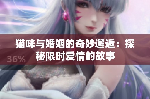 猫咪与婚姻的奇妙邂逅：探秘限时爱情的故事