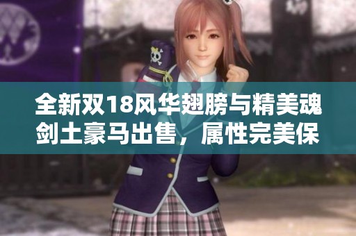 全新双18风华翅膀与精美魂剑土豪马出售，属性完美保障