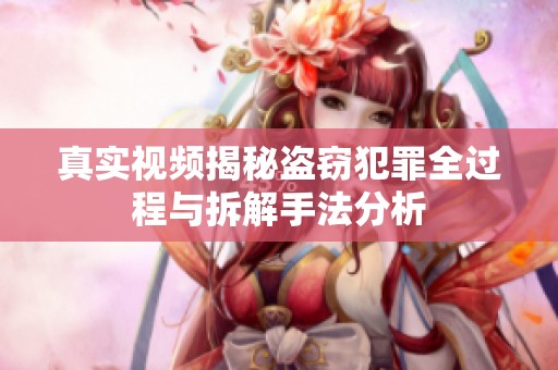 真实视频揭秘盗窃犯罪全过程与拆解手法分析