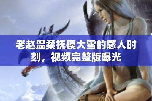 老赵温柔抚摸大雪的感人时刻，视频完整版曝光