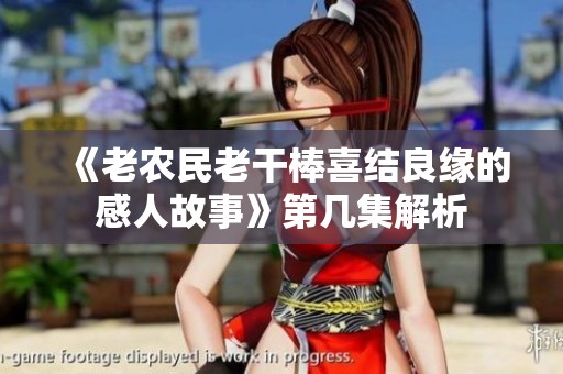 《老农民老干棒喜结良缘的感人故事》第几集解析