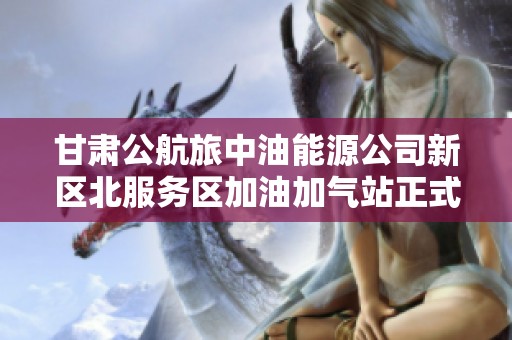 甘肃公航旅中油能源公司新区北服务区加油加气站正式启用