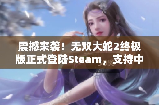 震撼来袭！无双大蛇2终极版正式登陆Steam，支持中文解锁全新体验