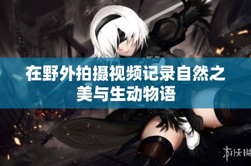 在野外拍摄视频记录自然之美与生动物语