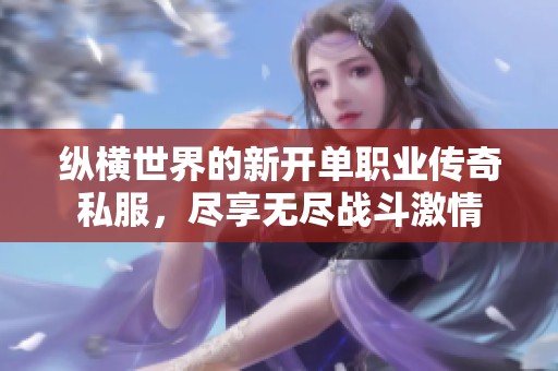 纵横世界的新开单职业传奇私服，尽享无尽战斗激情