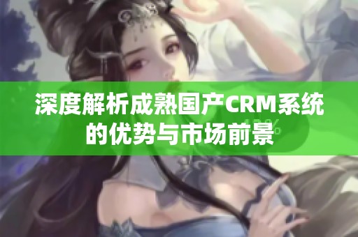 深度解析成熟国产CRM系统的优势与市场前景