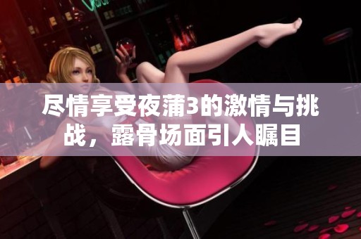 尽情享受夜蒲3的激情与挑战，露骨场面引人瞩目