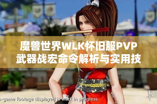 魔兽世界WLK怀旧服PVP武器战宏命令解析与实用技巧分享