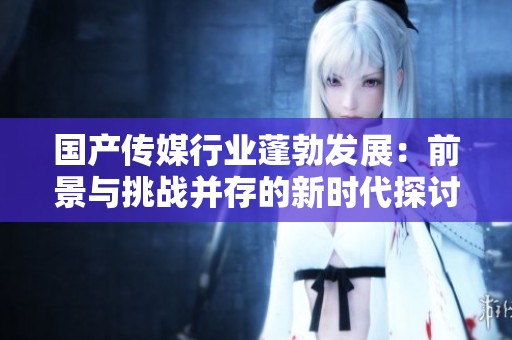 国产传媒行业蓬勃发展：前景与挑战并存的新时代探讨