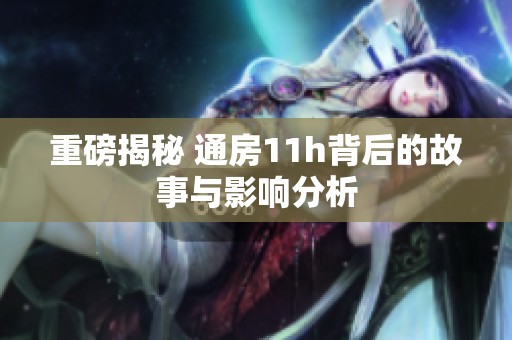重磅揭秘 通房11h背后的故事与影响分析