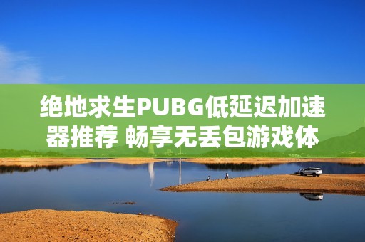 绝地求生PUBG低延迟加速器推荐 畅享无丢包游戏体验