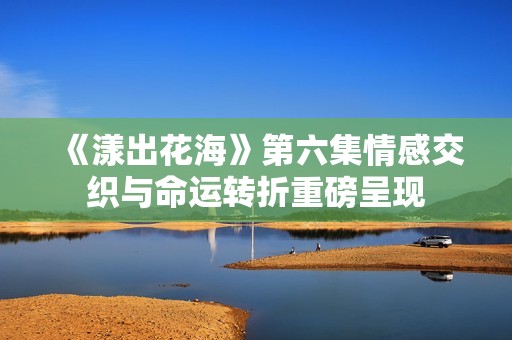 《漾出花海》第六集情感交织与命运转折重磅呈现