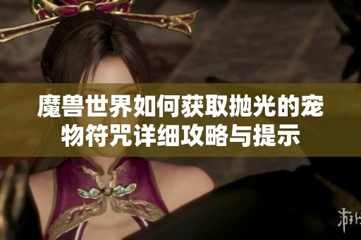 魔兽世界如何获取抛光的宠物符咒详细攻略与提示