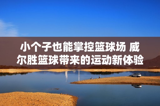 小个子也能掌控篮球场 威尔胜篮球带来的运动新体验