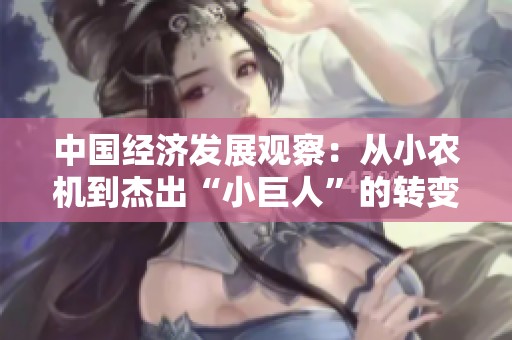 中国经济发展观察：从小农机到杰出“小巨人”的转变之路