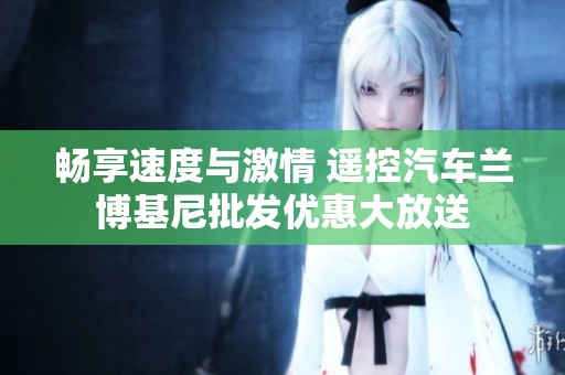 畅享速度与激情 遥控汽车兰博基尼批发优惠大放送