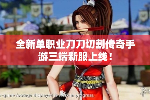 全新单职业刀刀切割传奇手游三端新服上线！
