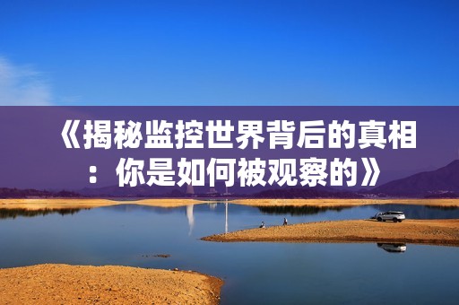 《揭秘监控世界背后的真相：你是如何被观察的》
