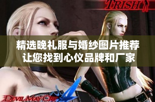 精选晚礼服与婚纱图片推荐 让您找到心仪品牌和厂家