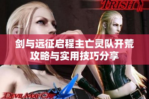 剑与远征启程主亡灵队开荒攻略与实用技巧分享